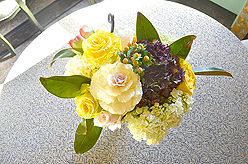 A CELERATION OF LIFE